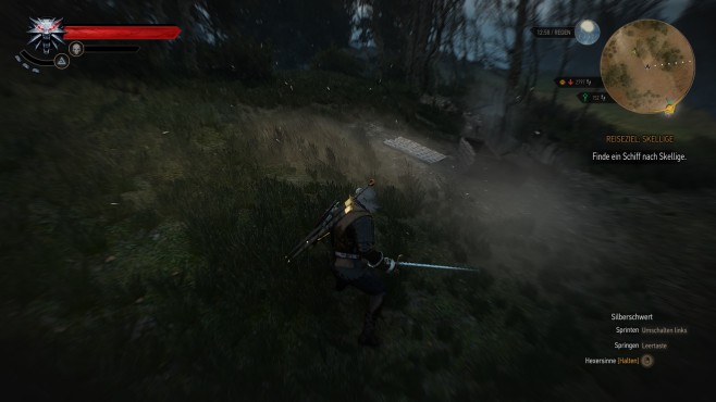 The Witcher 3 die besten Mods 01