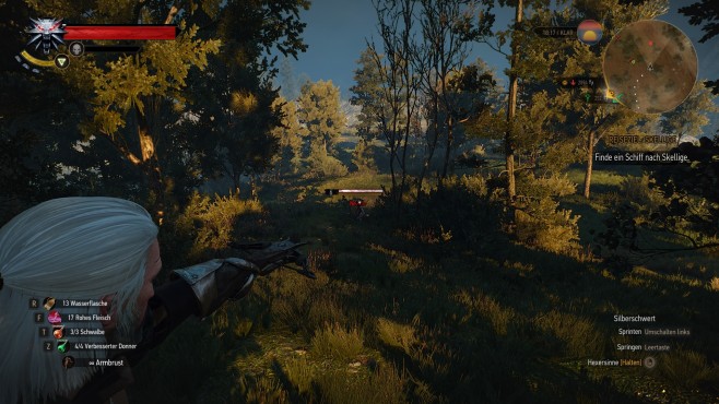 The Witcher 3 die besten Mods 04