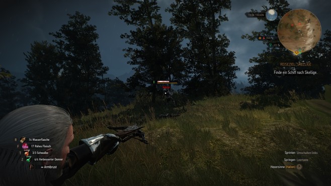 The Witcher 3 die besten Mods 05