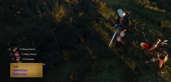The Witcher 3 die besten Mods 06