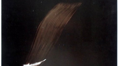 Rollins Band :: Weight