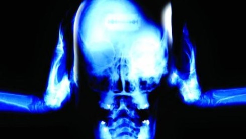 Rollins Band :: Come In And Burn