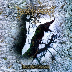 Borknagar - The Olden Domain