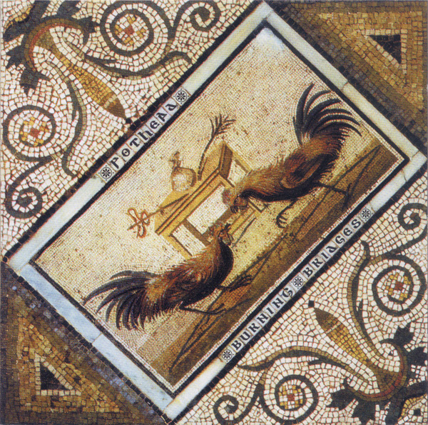 Pothead- Burning Bridges