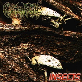 Nyctophobic- Insects