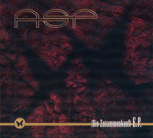 ASP - Die Zusammenkunft