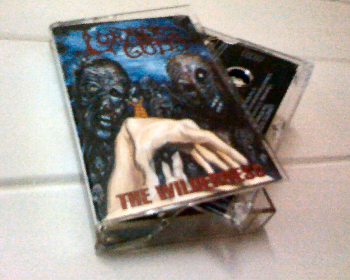 Lunatic Gods - The Wilderness