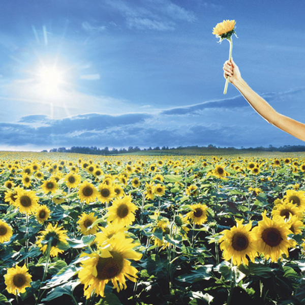 Stone Temple Pilots - Thank You