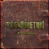 Terasbetoni - Metallitotuus