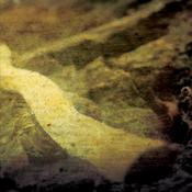 Altar Of Plagues -  White Tomb