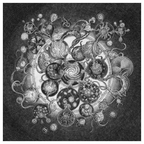 CD-Cover Long Distance Calling 2011