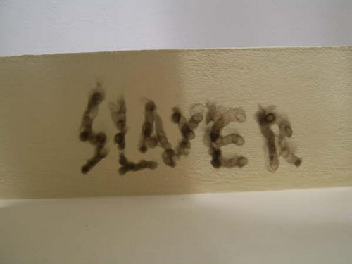 Slayer