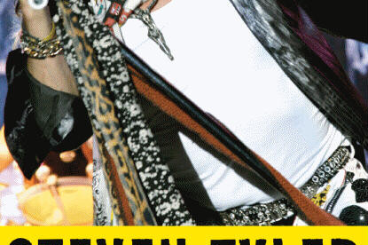 Aerosmith, Steven Tyler Bio Cover