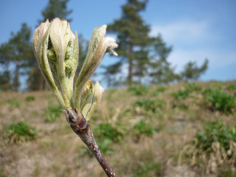Black Metal Sightseeing: doch nicht nur verbrannte Erde