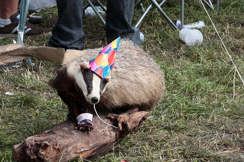 Wacken 2011, Fans, Nonsense und Spaß drumherum