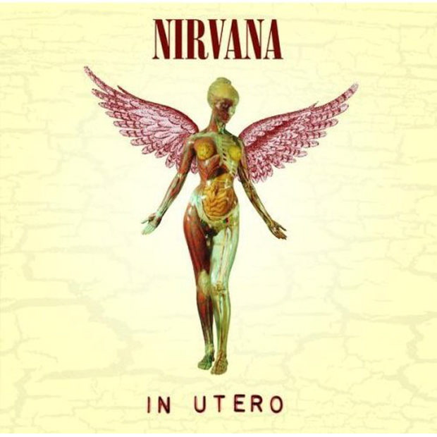 Nirvana Cover, offizielle Alben und Bootlegs