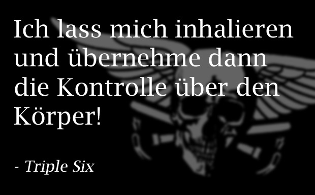 Asche, Munition, Vinyl - so wollen METAL HAMMER Leser nach dem Tod erhalten bleiben