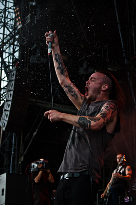Cancer Bats