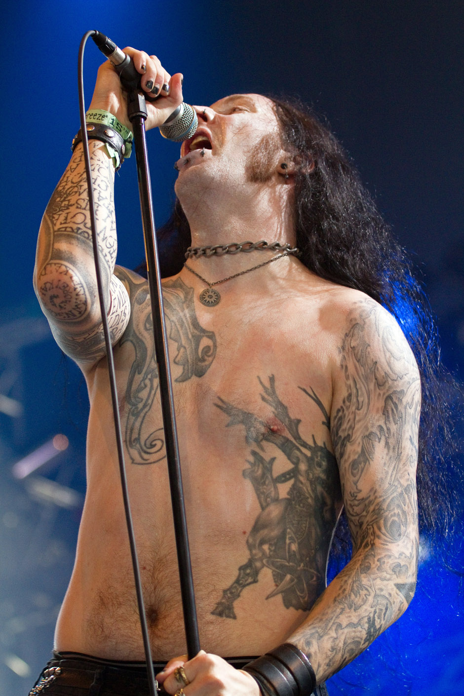 Agrypnie live, Summer Breeze 2012