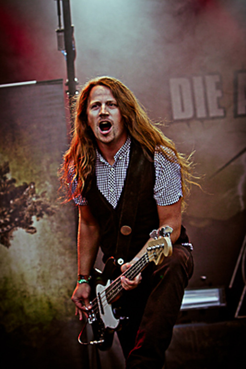 Die Apokalyptischen Reiter live, Summer Breeze 2012