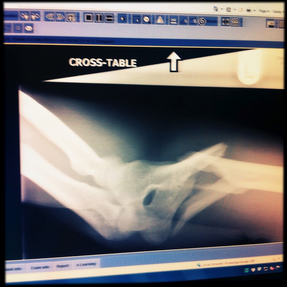 Baroness nach dem schweren Unfall im August 2012