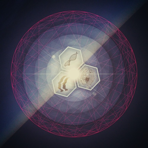 The Contortionist.jpg