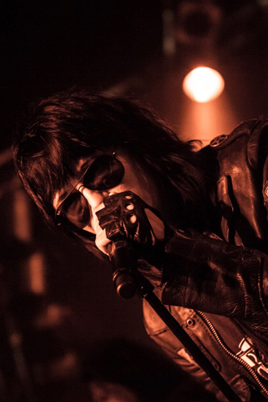 The 69 Eyes live, 27.01.2013, Hamburg