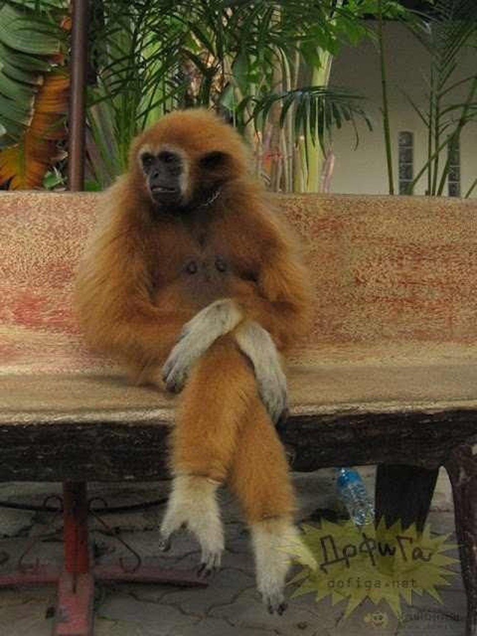 Bonecrisher Tour 2013 Backstage Tourtagebuch