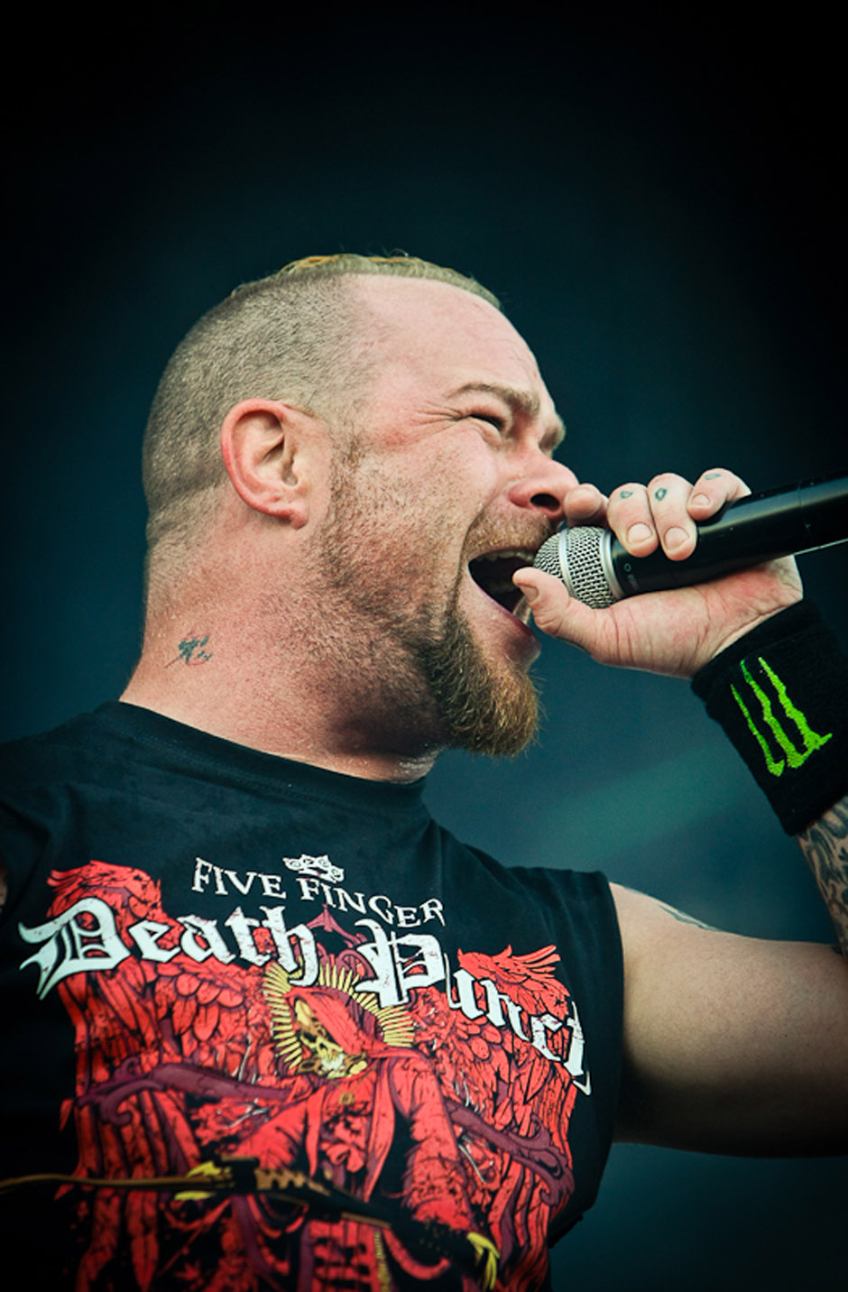 Five FInger Death Punch live, Nova Rock 2013