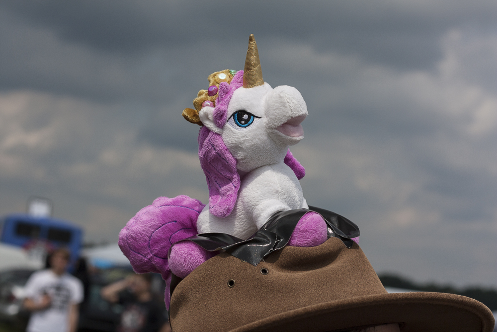 Fans und Atmo, With Full Force 2013