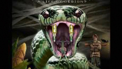 Album-Review in METAL HAMMER 08/2013