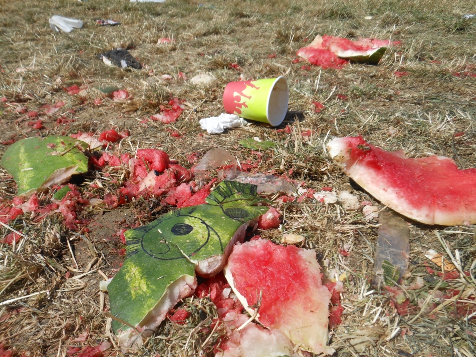 Fans am Summer Breeze 2013