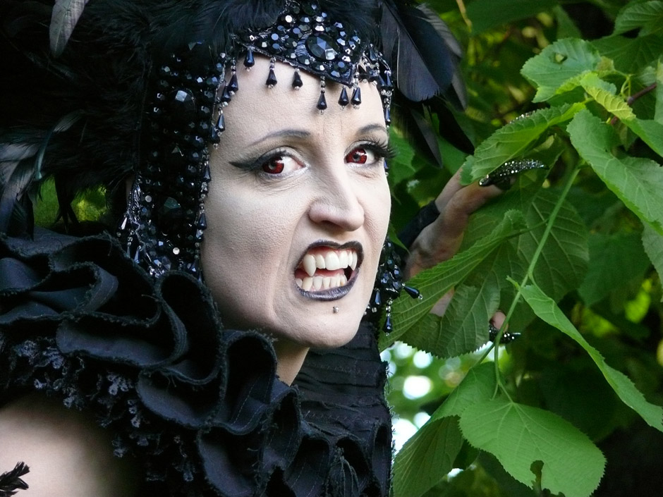 Wave-Gotik-Treffen 2013 - das schwarzbunte Publikum