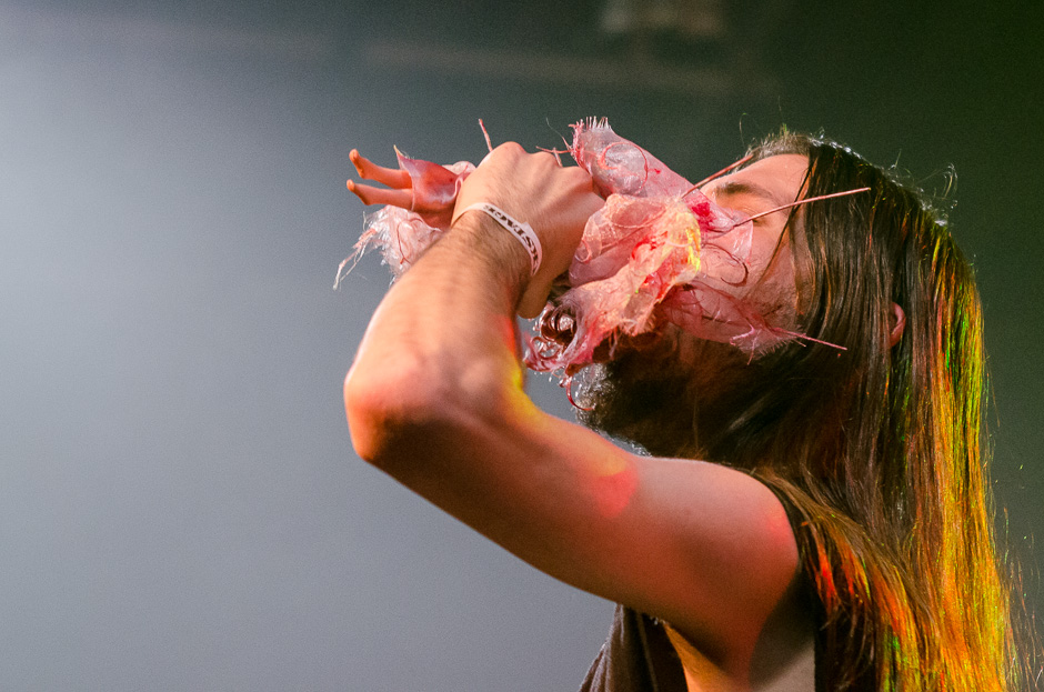 Vogelfrey live, Tanzt! Festival, 30.11.2013, München