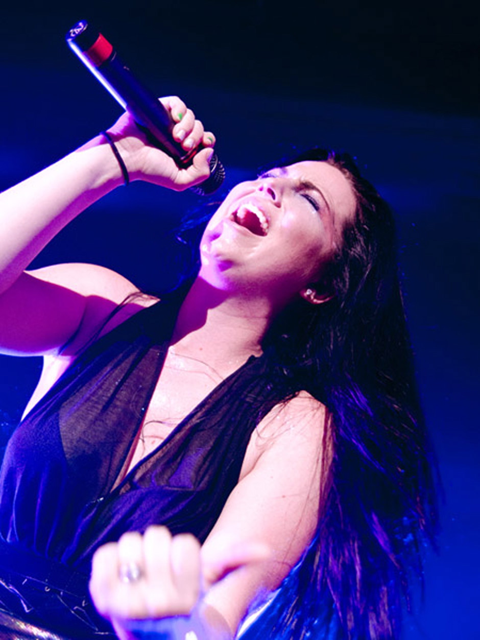 Evanescence live, Hamburg, 12.06.2012
