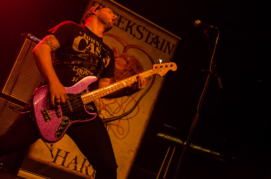 Sleekstain live, 06.02.2014, München