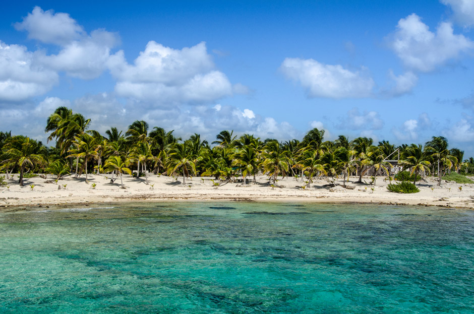 70.000 Tons Of Metal Kreuzfahrt 2014