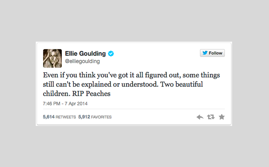 Ellie Goulding findet 'keine Erklärung und kann es nicht verstehen.'