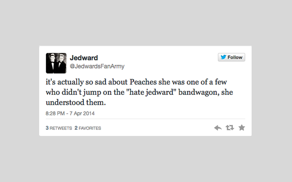 Jedward sind traurig, weil mit Peaches Geldof offenbar die letzte Person verstorben ist, die 'nicht auf den Jedward-Hasszug a