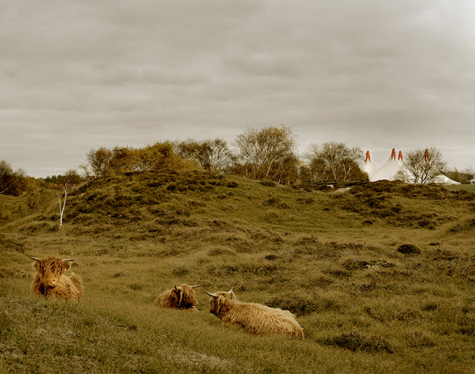 METAL HAMMER PARADISE