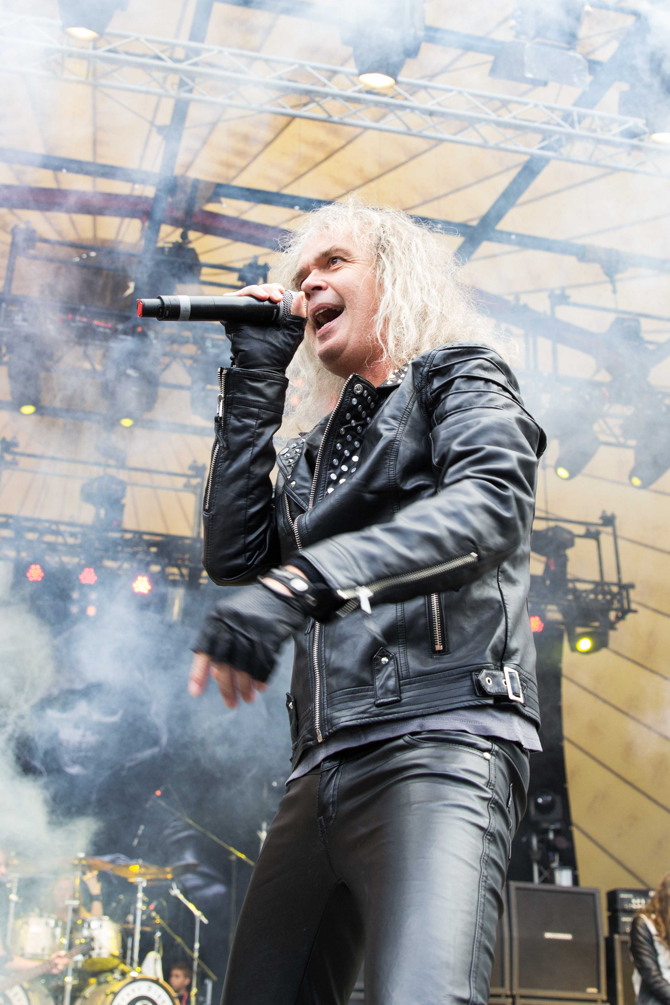 Grave Digger, Metalfest 2014-IMG_0933.jpg