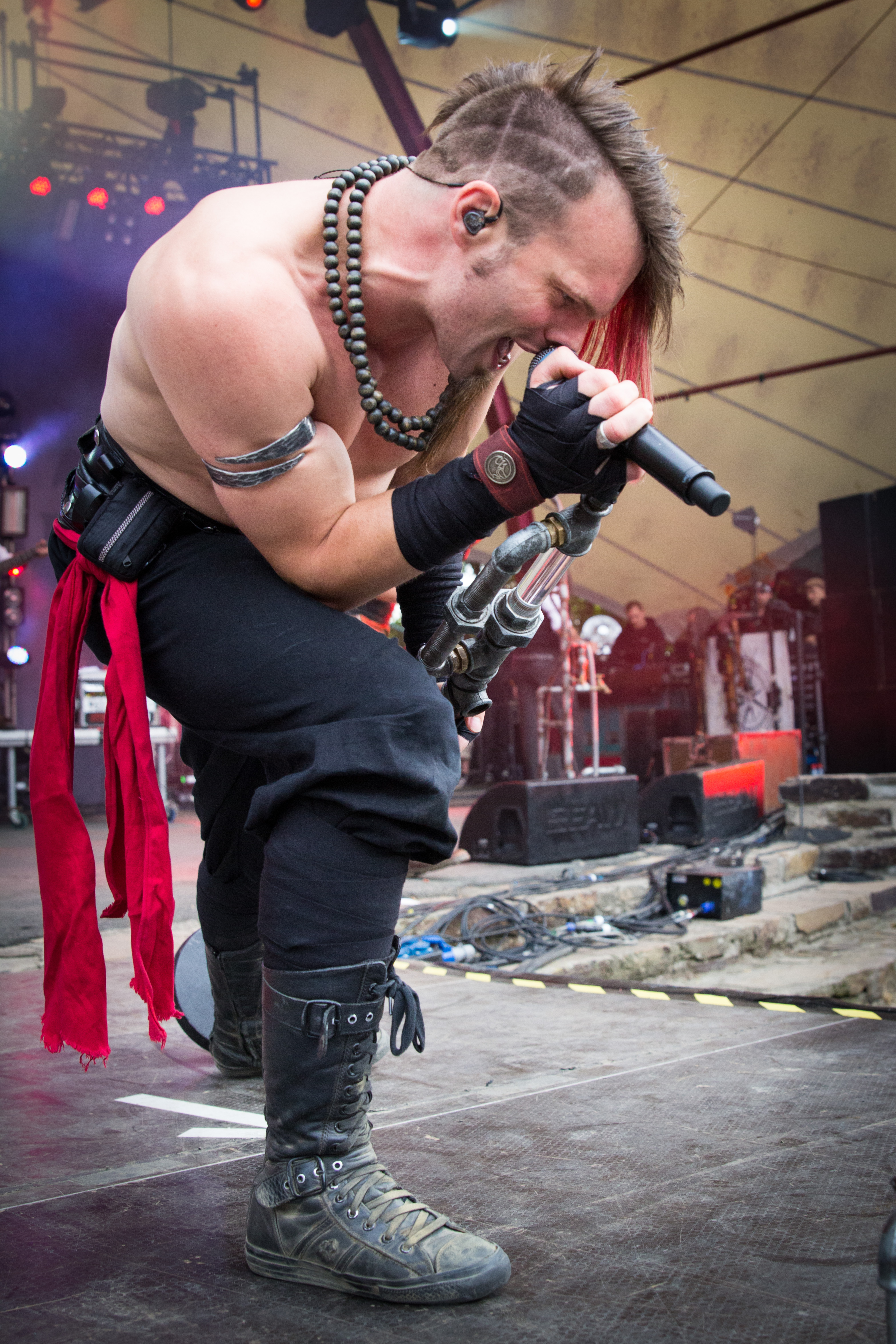 Metalfest 2014, Saltatio Mortis-IMG_9610.jpg