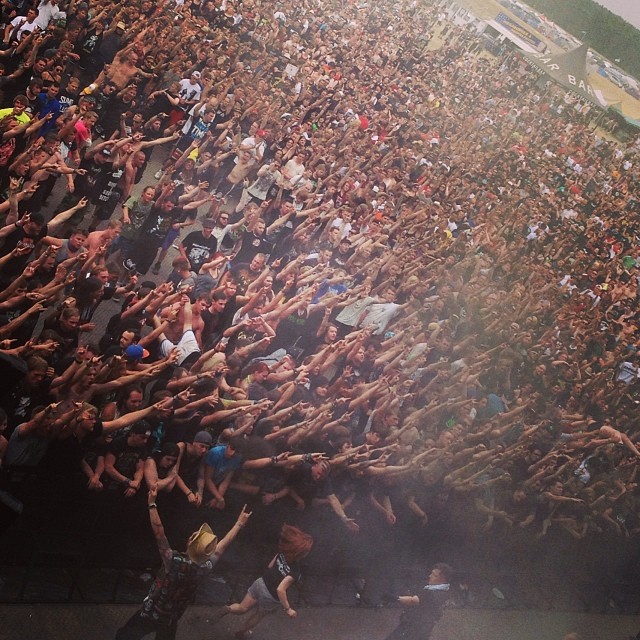 Wimmelbild bei Carnifex