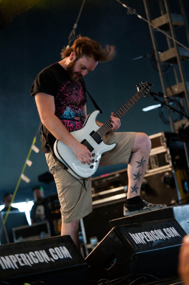 Emil Bulls, With Full Force 2014, S.Fleischer