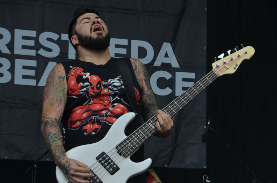 Iwrestledabearonce live, Summer Breeze 2014