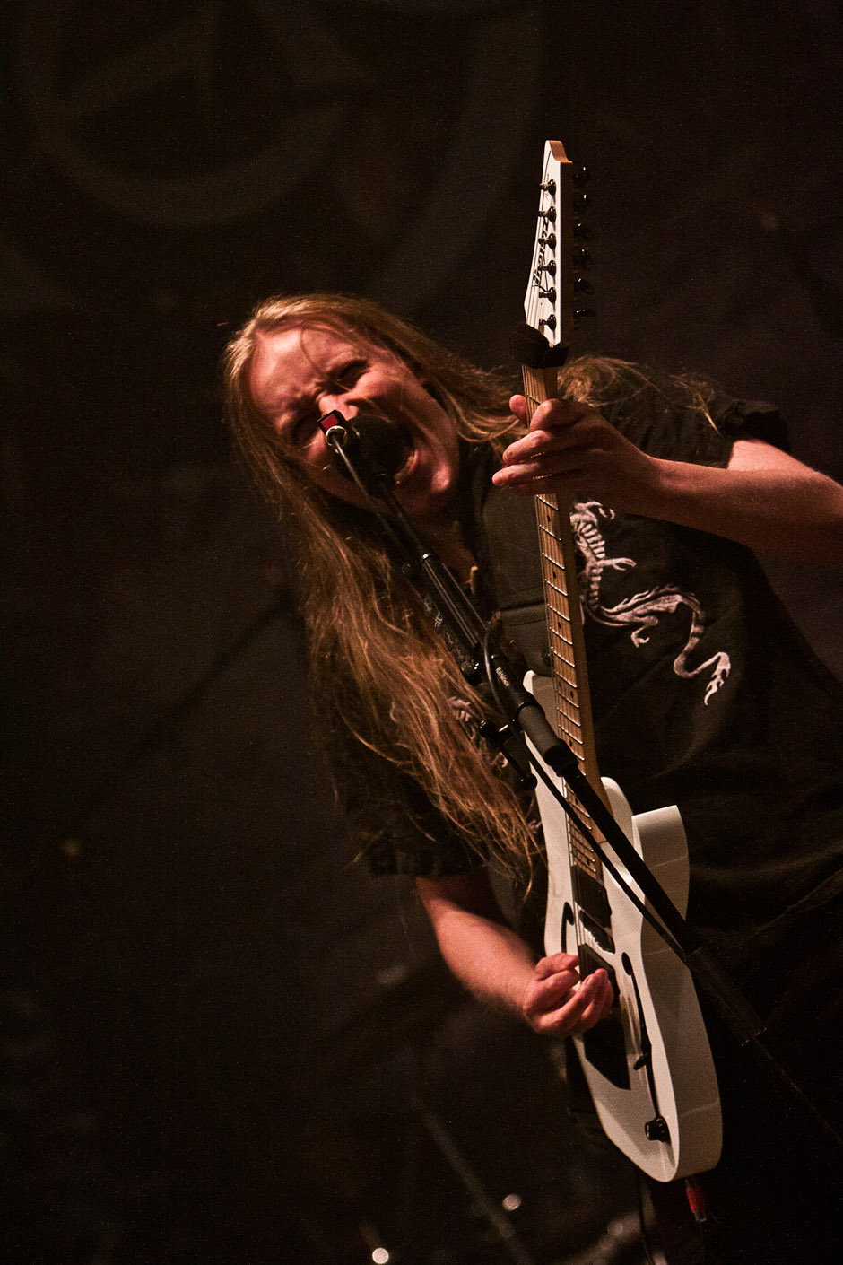 Wintersun live, Summer Breeze 2014