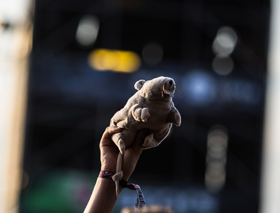 Subway To Sally live, M'era Luna Festival 2014