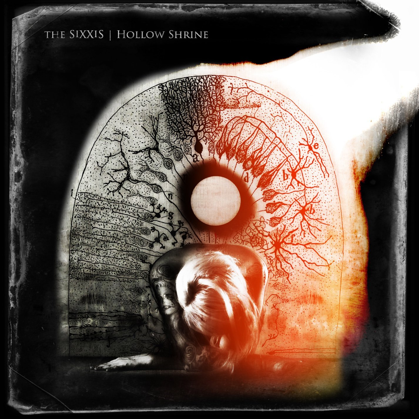 The Sixxis - HOLLOW SHINE