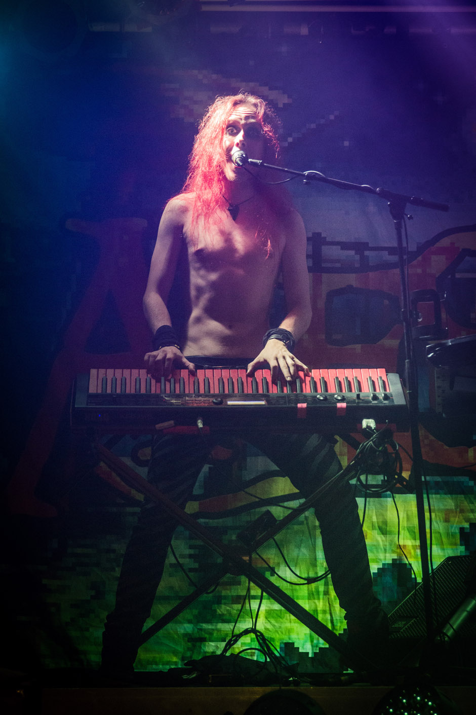 Alestorm live, 13.09.2014, Bochum: Matrix