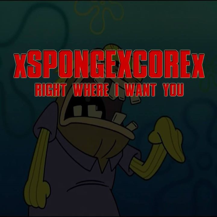 Spongecore-2.jpg